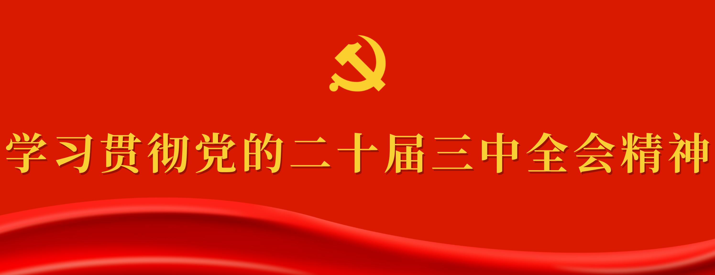 学习贯彻党的二十届三中全会精神